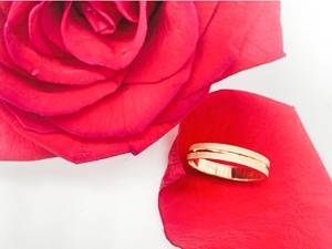 Cuadro para la categoría ALIANZAS